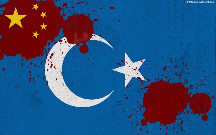 Should Muslims Ignore the Plight of  Uighur Muslims For Fear of being used to achieve  US interests ?